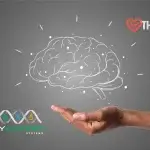 Your brain is your greatest commodity. The ability to be clear, energetic, enthusiastic, utilize your memory, and concentrate are essential. This mental sharpness that allows you to make decisions, motivate and inspire is your craft.